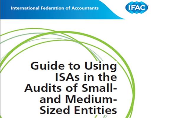 رهنمودی برای استفاده از استانداردهای بین المللی حسابرسی در حسابرسیهای بنگاه های کوچک ومتوسط